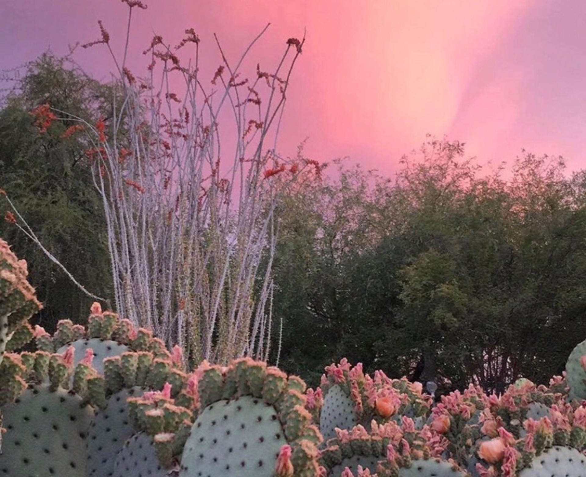 株式会社Sun&Rainbows